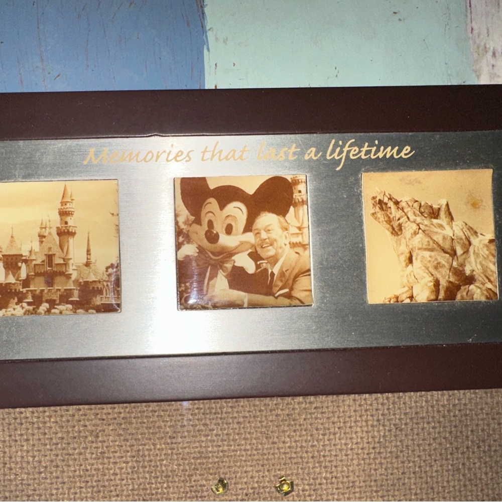 Dark Brown Disneyland Photo Frame - Picture 2 of 3